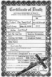 Death Records Certificate